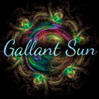 Gallant Sun LLC logo, Gallant Sun LLC contact details