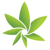 Cannabis Camera logo, Cannabis Camera contact details