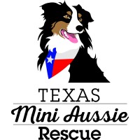 Texas Mini Aussie Rescue logo, Texas Mini Aussie Rescue contact details