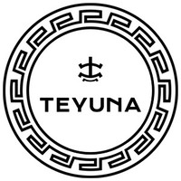 Teyuna Foundation logo, Teyuna Foundation contact details