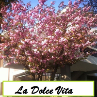 Associazione La Dolce Vita logo, Associazione La Dolce Vita contact details