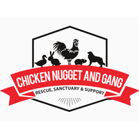 Chicken Nugget and Gang, Inc. logo, Chicken Nugget and Gang, Inc. contact details