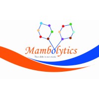 mambolytics logo, mambolytics contact details