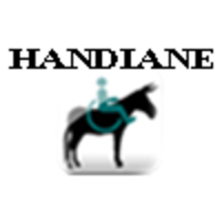 HANDIANE logo, HANDIANE contact details