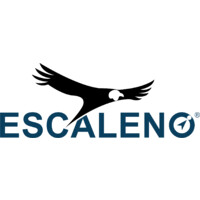 Escaleno Soluciones logo, Escaleno Soluciones contact details