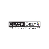 Black Belt Solutions logo, Black Belt Solutions contact details