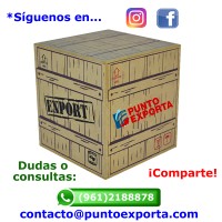 PuntoExporta logo, PuntoExporta contact details