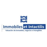 IEI Avalúos | Immobiles et Intactilis logo, IEI Avalúos | Immobiles et Intactilis contact details