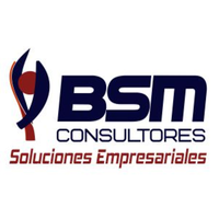 BSMConsultores logo, BSMConsultores contact details