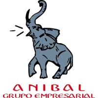 Anibal Grupo Empresarial logo, Anibal Grupo Empresarial contact details