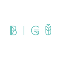 Bigú Mx logo, Bigú Mx contact details