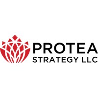 Protea Strategy LLC logo, Protea Strategy LLC contact details