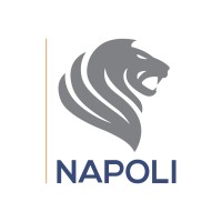 Napoli Consultoria Empresarial logo, Napoli Consultoria Empresarial contact details