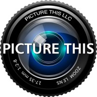 Picture This LLC logo, Picture This LLC contact details