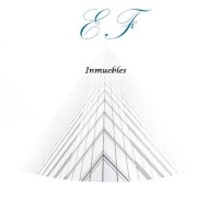 EF INMUEBLES logo, EF INMUEBLES contact details