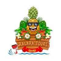 Palapa Tours logo, Palapa Tours contact details