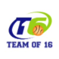 Team of 16 LLC logo, Team of 16 LLC contact details