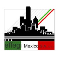 EFFEGI MEXICO SA DE CV logo, EFFEGI MEXICO SA DE CV contact details