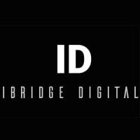 iBridge Digital OÜ logo, iBridge Digital OÜ contact details