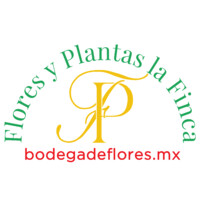 Flores y Plantas La Finca logo, Flores y Plantas La Finca contact details