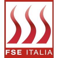 FSE ITALIA Srl logo, FSE ITALIA Srl contact details