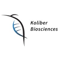 Koliber Engineering logo, Koliber Engineering contact details