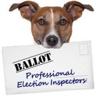 Pro Elections LLC logo, Pro Elections LLC contact details