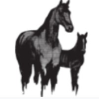 Thomas Clark Bloodstock, LLC logo, Thomas Clark Bloodstock, LLC contact details