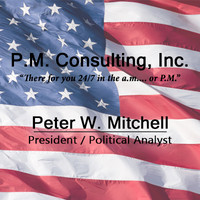 PM Consulting, Inc. logo, PM Consulting, Inc. contact details