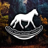 Racehorse Startups LLC logo, Racehorse Startups LLC contact details