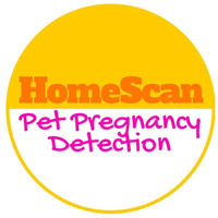 HomeScan logo, HomeScan contact details