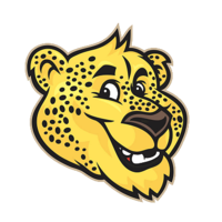 CheetahBase.com logo, CheetahBase.com contact details