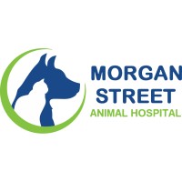 Morgan Street Animal Hospital logo, Morgan Street Animal Hospital contact details