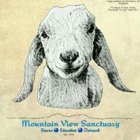 Mountain View Sanctuary Inc 501(c)3 Nonprofit Organization logo, Mountain View Sanctuary Inc 501(c)3 Nonprofit Organization contact details