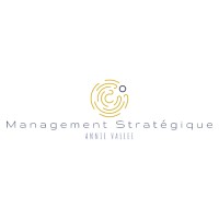 Management stratégique Annie Vallée International logo, Management stratégique Annie Vallée International contact details