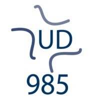 IISE UD Capítulo 985 logo, IISE UD Capítulo 985 contact details