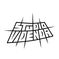 Studio Videnda LLC logo, Studio Videnda LLC contact details