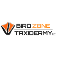 Bird Zone Taxidermy logo, Bird Zone Taxidermy contact details