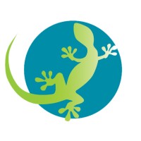 Transfer Gecko logo, Transfer Gecko contact details