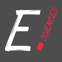 EFFISCIENCES logo, EFFISCIENCES contact details