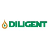 Diligent Technical Services Ltd logo, Diligent Technical Services Ltd contact details