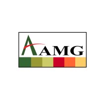 AMG Overseas Services logo, AMG Overseas Services contact details