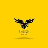 Black Kite Global logo, Black Kite Global contact details