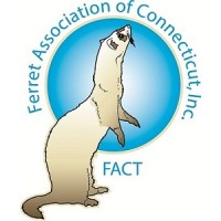 Ferret Association of Connecticut, Inc. logo, Ferret Association of Connecticut, Inc. contact details