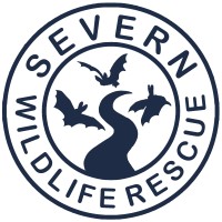 Severn Wildlife Rescue logo, Severn Wildlife Rescue contact details