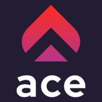 ACE Agency for Coders & Employers logo, ACE Agency for Coders & Employers contact details