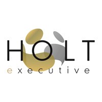 Holt Executive Ltd logo, Holt Executive Ltd contact details