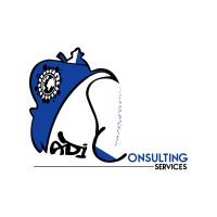 Wadi Consulting Services logo, Wadi Consulting Services contact details