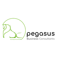 Pegasus Business Consultants logo, Pegasus Business Consultants contact details