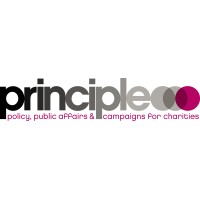 Principle Consulting logo, Principle Consulting contact details